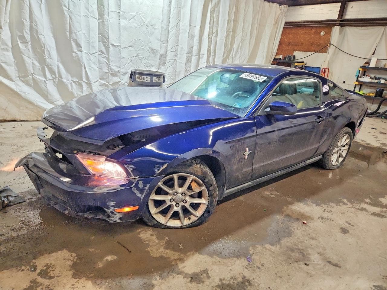 MUSTANG