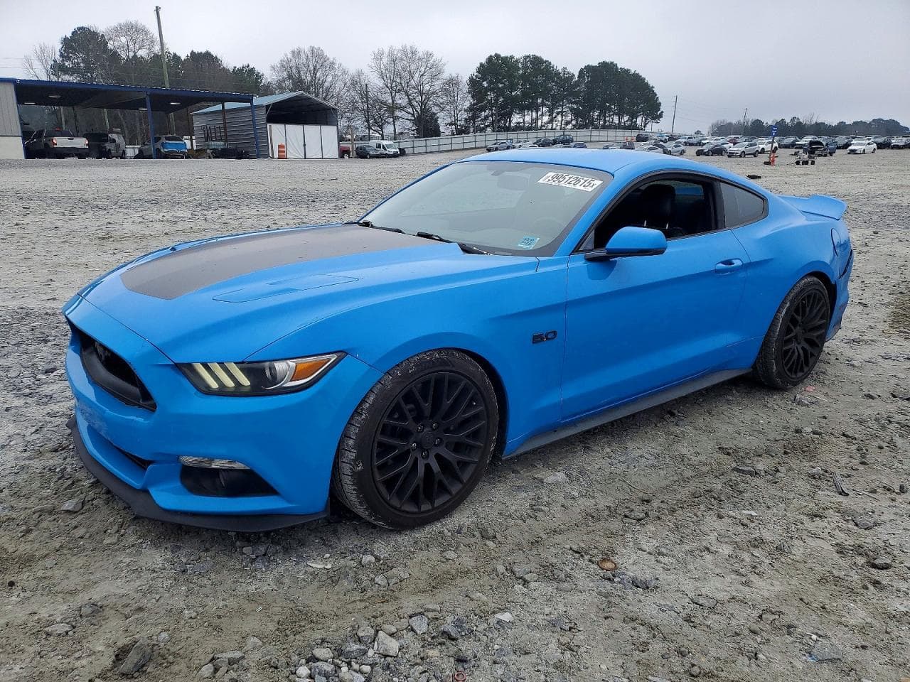 MUSTANG