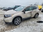CRV