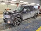 RIDGELINE