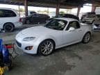 MX5