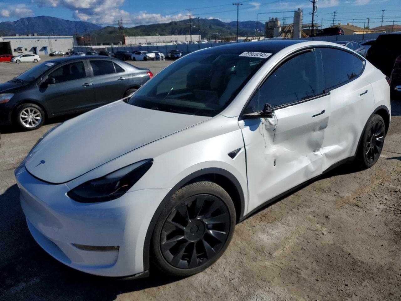 MODEL Y