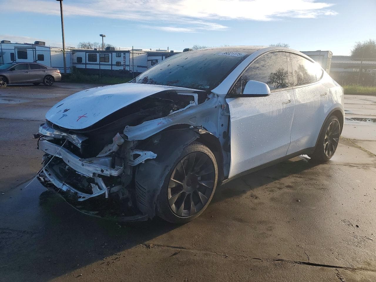 MODEL Y