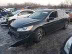 ACCORD