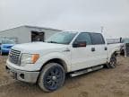 F150