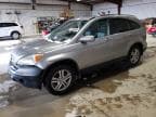 CRV