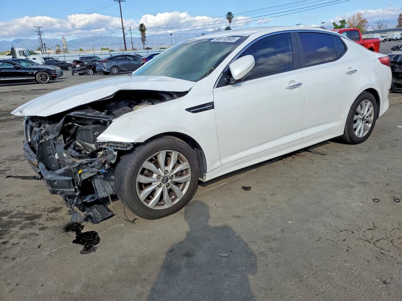 OPTIMA