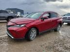 VENZA