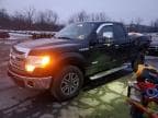 F-150