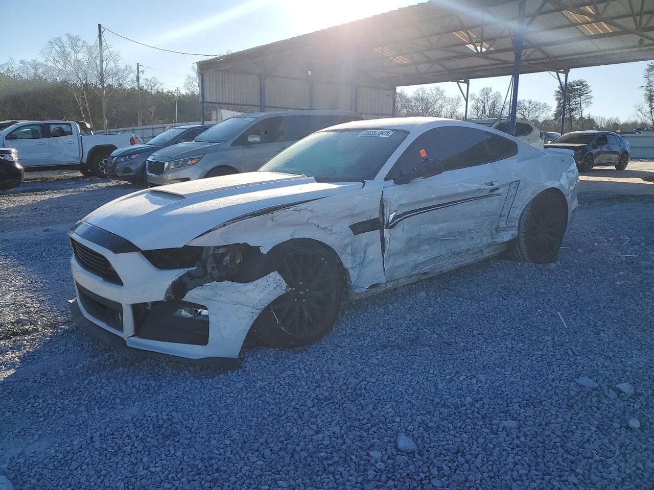 MUSTANG