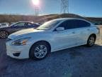 ALTIMA
