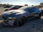 MUSTANG
