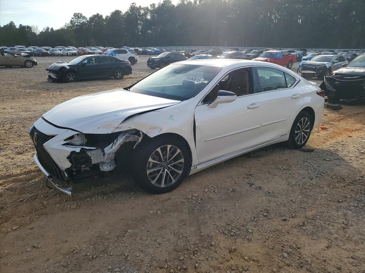 ES300