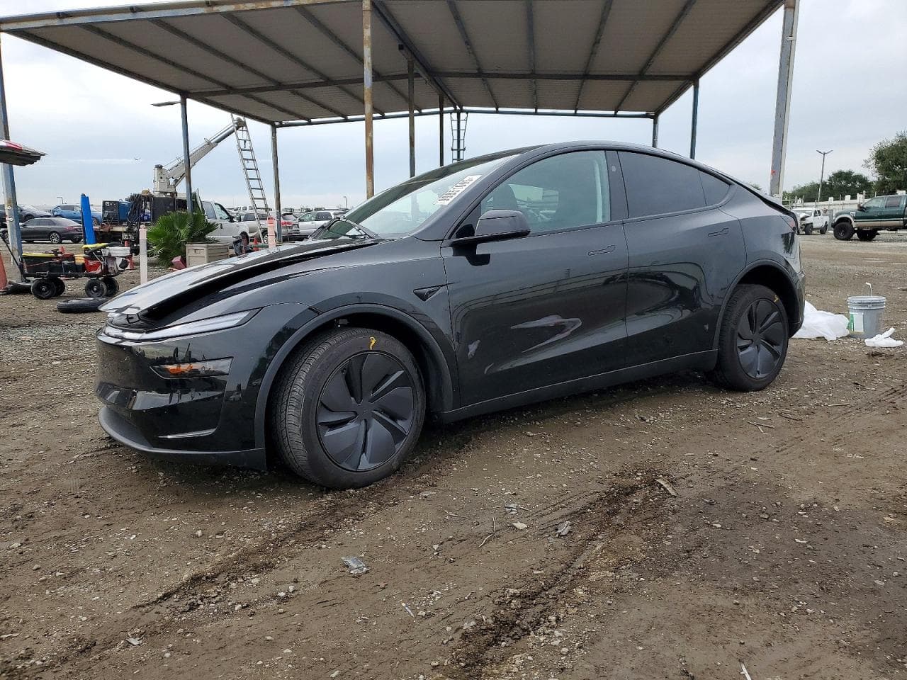 MODEL Y