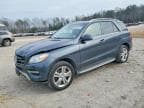 M-CLASS