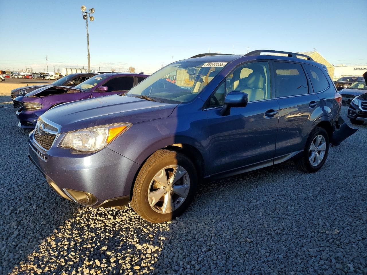 FORESTER