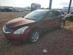 ALTIMA