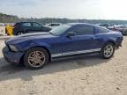 MUSTANG