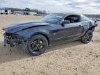 MUSTANG