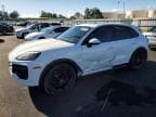 CAYENNE