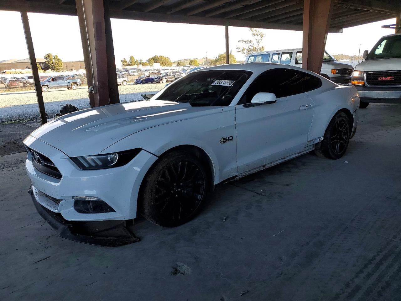 MUSTANG