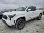 TACOMA