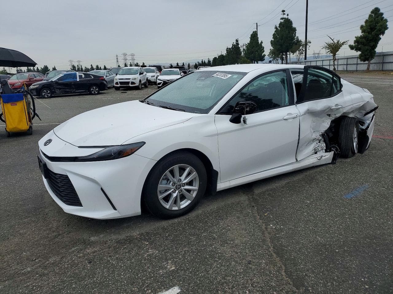 CAMRY