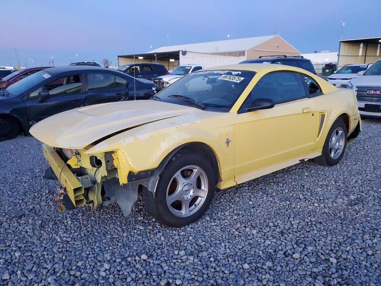 MUSTANG