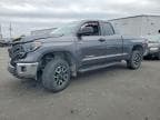 TUNDRA