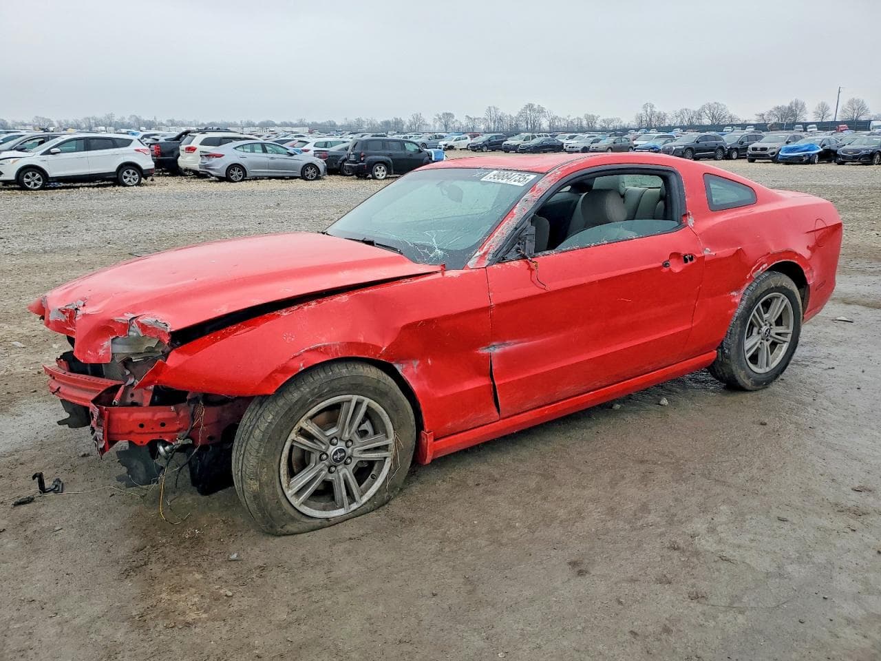MUSTANG