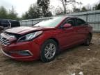 SONATA