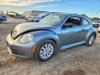 BEETLE