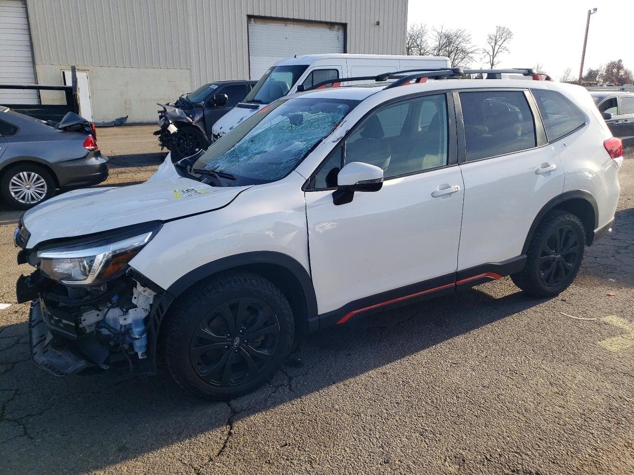 FORESTER