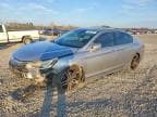 ACCORD
