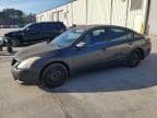ALTIMA