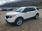 EXPLORER