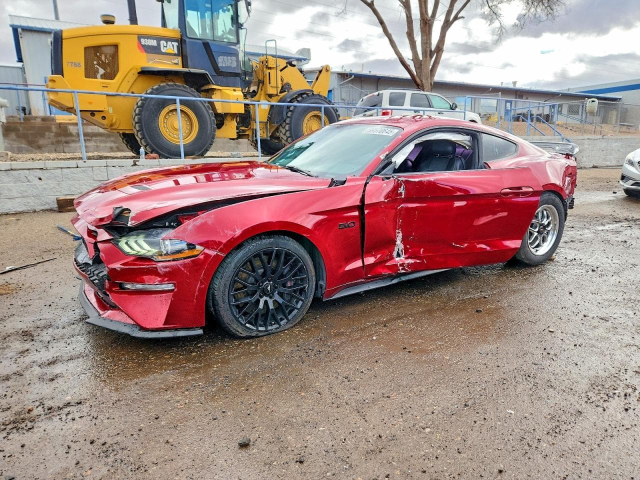 MUSTANG