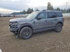 BRONCO