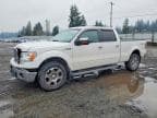 F-150
