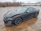 MUSTANG