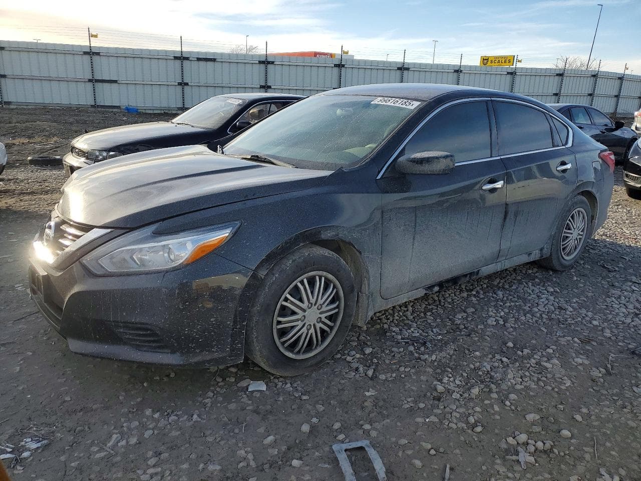 ALTIMA