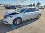 ALTIMA