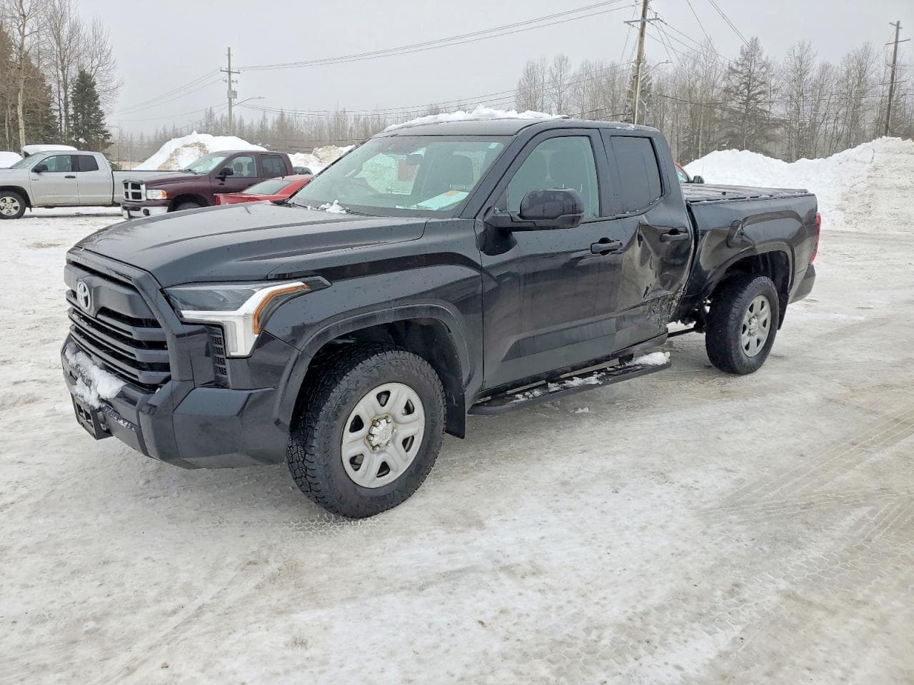 TUNDRA