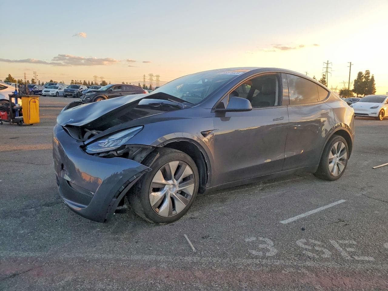 MODEL Y