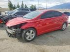 ELANTRA