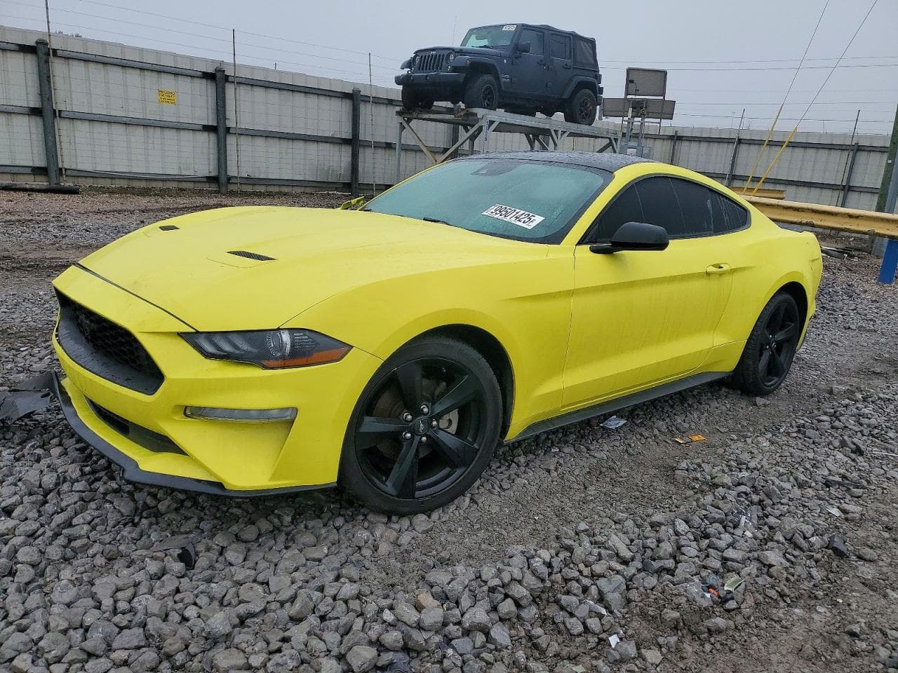 MUSTANG