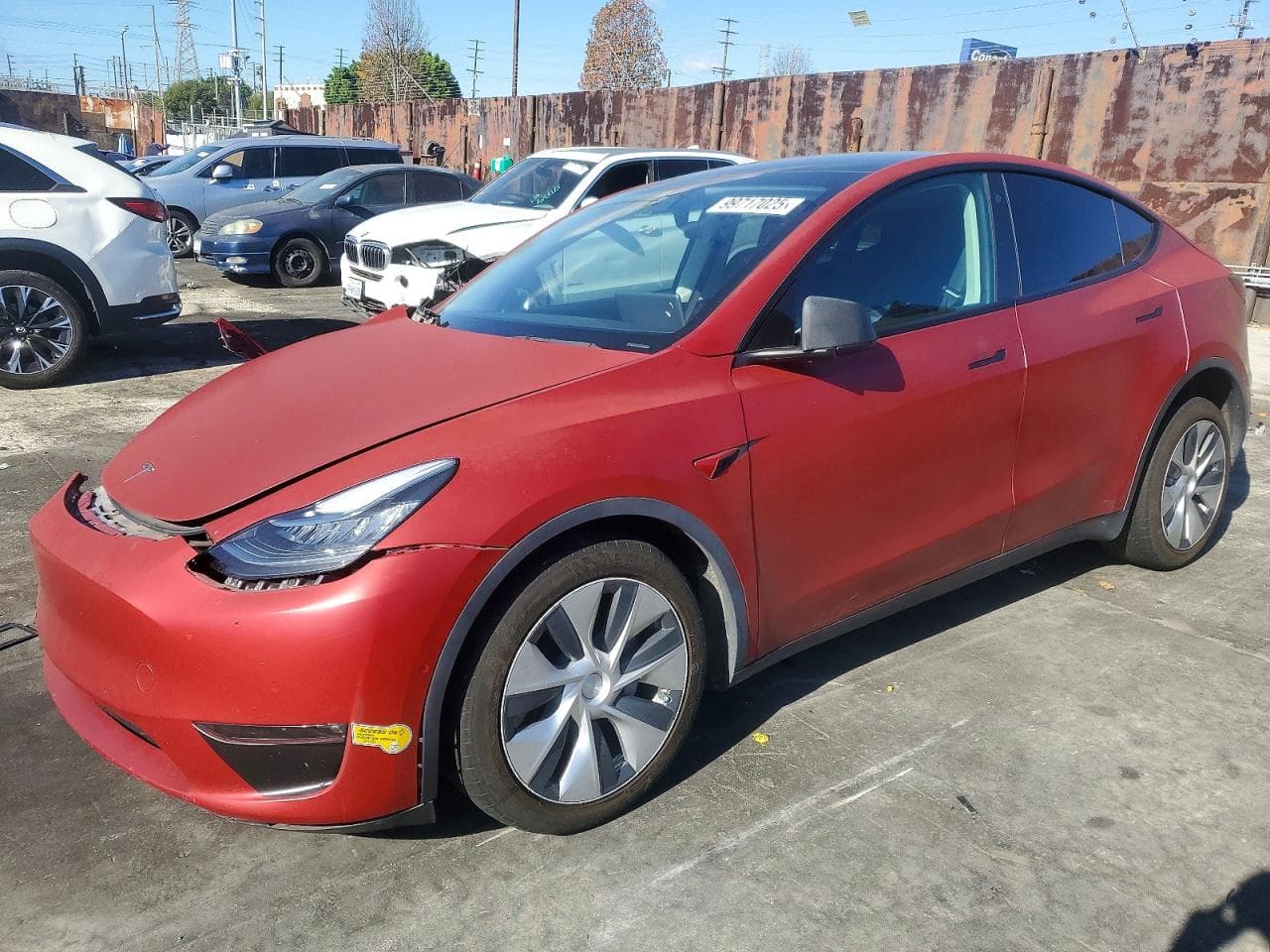 MODEL Y