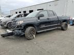 TUNDRA