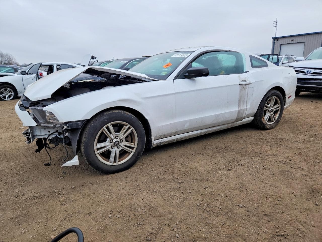 MUSTANG