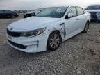 OPTIMA